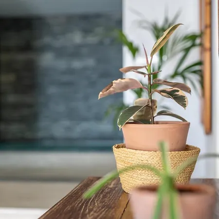 Wellness House